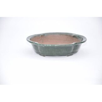  Shuuhou (Hidemi Kataoka) Olla de Mokko Shuho