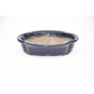 Shuuhou (Hidemi Kataoka) Oval Shuhou 14 cm Tokoname pot.