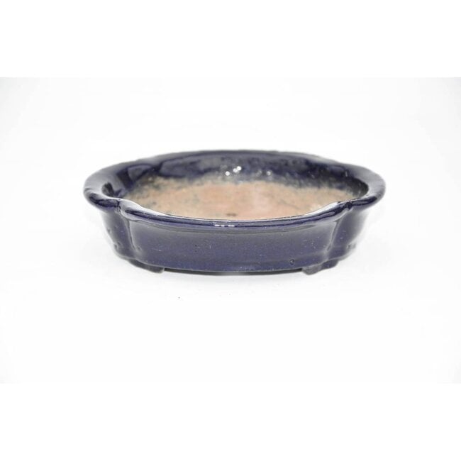 Oval Shuhou 14 cm POT di Tokoname.