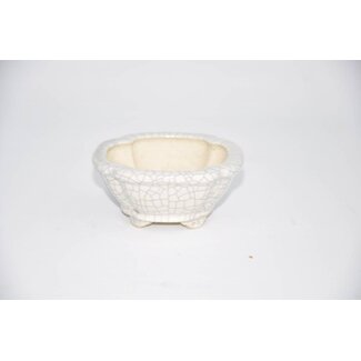  Eimei ( Yozan kiln) Pote cuadrado