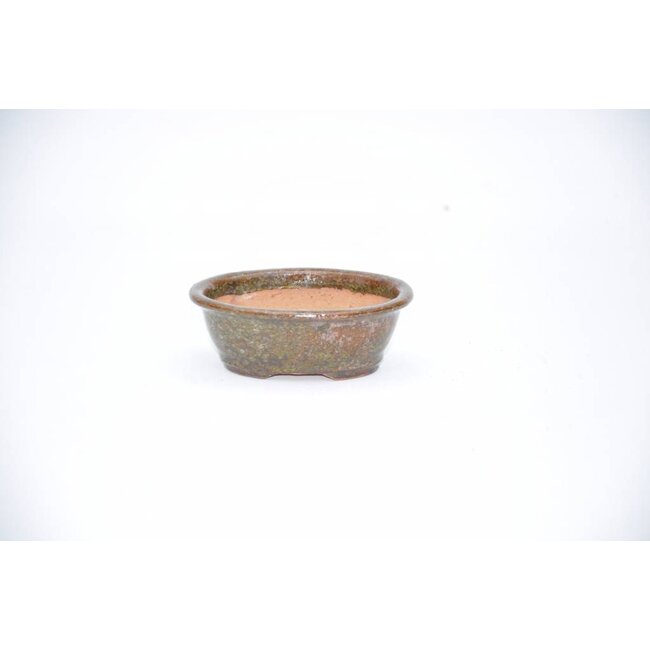 Oval Shuho pot