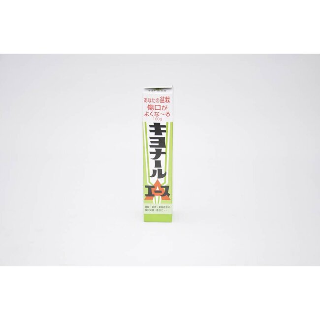 Pâte cicatrisante Kiyonal Ace 100 g – Pâte japonaise pour la cicatrisation des plaies de taille et des greffes sur bonsaï