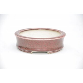  Eimei ( Yozan kiln) Maceta redonda de 3,3 cm de Youzan