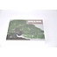 Kokufu Bonsai Exhibition catalogue n° 91 - 2017