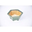 pot hexagonal