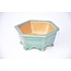 pot hexagonal