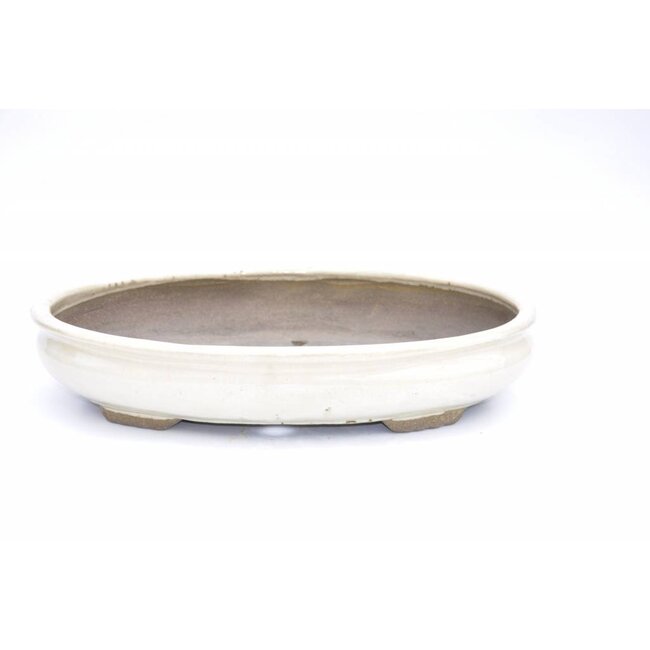 oval taizan pot