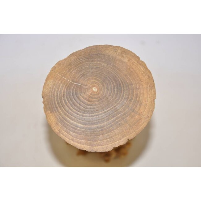 Mesa de madera de raíz