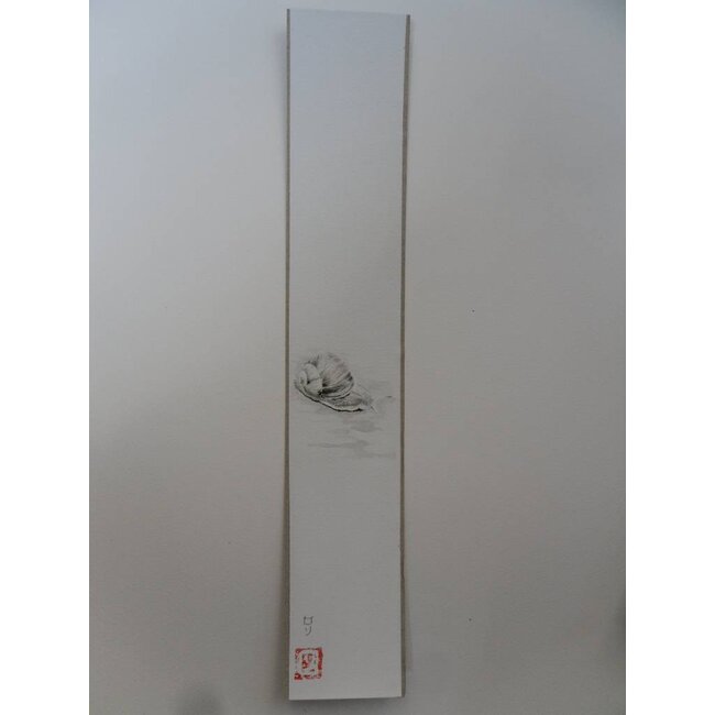 Snale 1 Tanzaku 36x6 cm