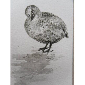 Grouse Tanzaku 36x6 cm