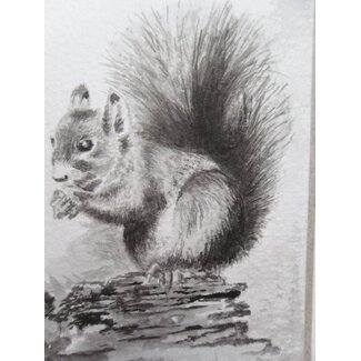 Squirrel 2 Tanzaku 36x6 cm