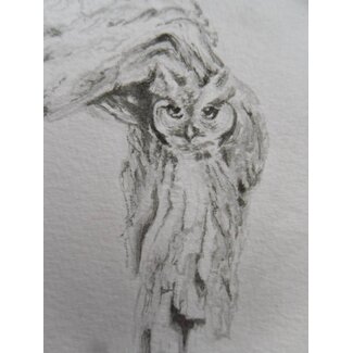 Owl in tree Shikishi 13x12 cm