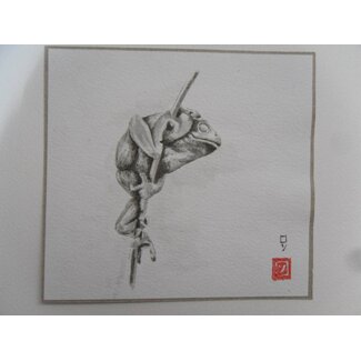 Rana canna Shikishi 13x12 cm