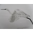Zilveren reiger vliegende Shikishi 13x12 cm