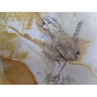 Bird 1 Shikishi 13x12 cm