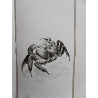 Crabe 1 Tanzaku 36x6 cm