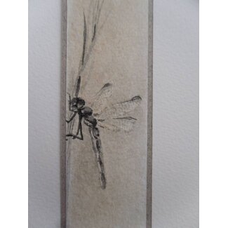 Libélula Tanzaku 23,5x3 cm