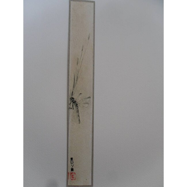 Dragonfly Tanzaku 23,5x3 cm