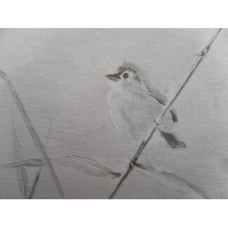 Bird 4 Shikishi 13x12 cm