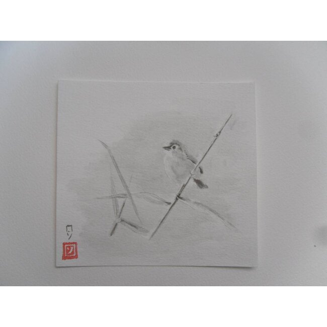 Shikishi 13x12 cm