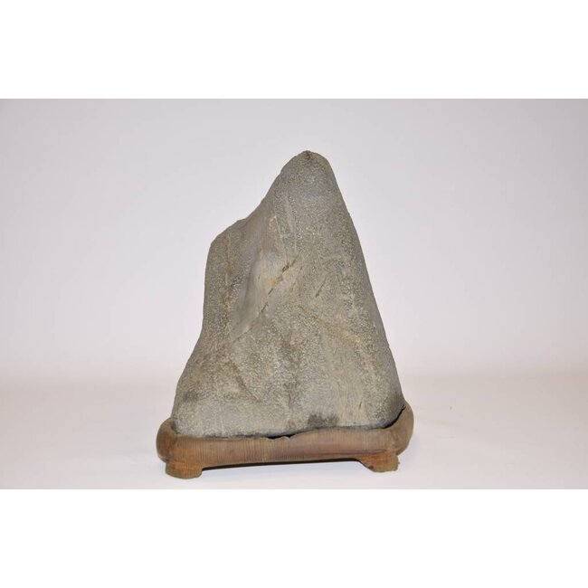 Suiseki, Setagawaisi, Giappone