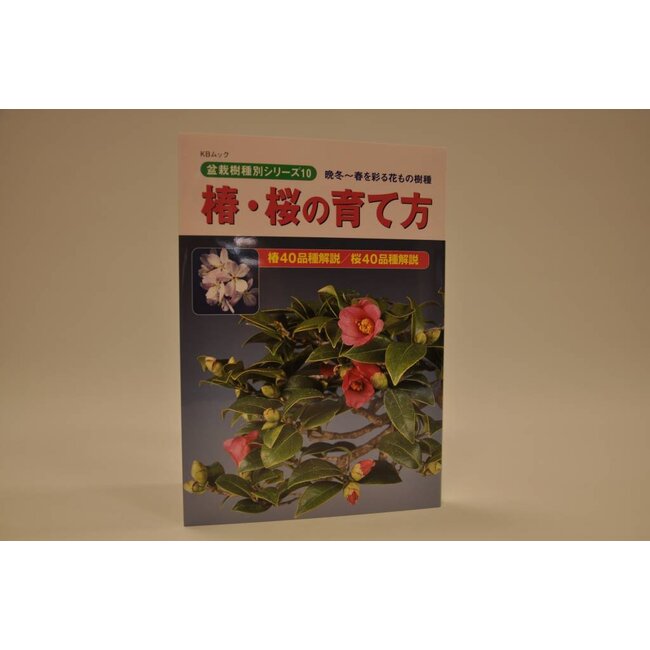 Camelia bonsai handboek