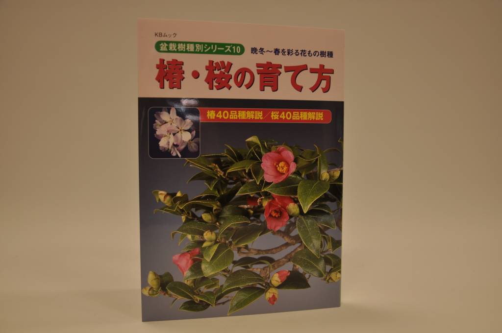 japanese bonsai tool Beginner's Bonsai Japanese Tool Kit – Bonsai Unlimited main image 1