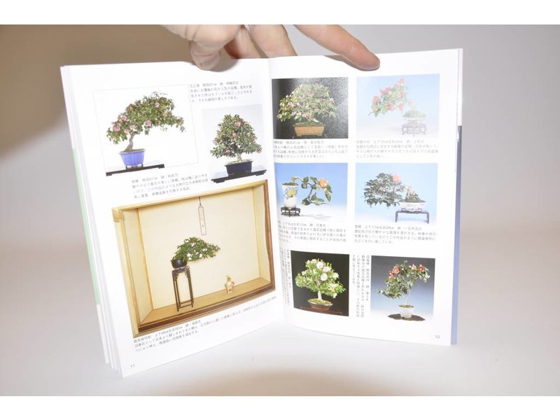 Camellia bonsai manual