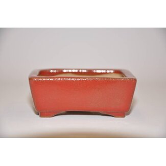 Shouzan  (Akira/Masami Watanabe) Rectangular pot