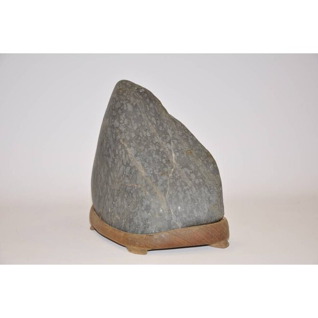 Suiseki, Setagawaisi, Japon