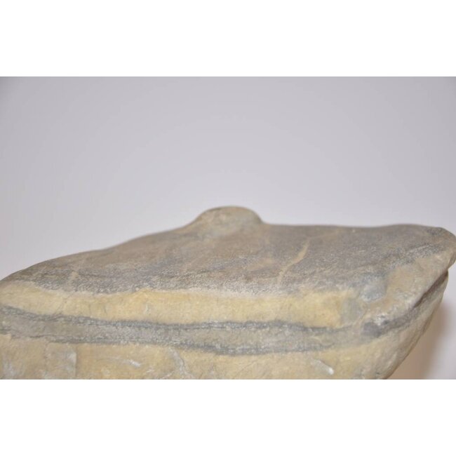 Suiseki, Toraisi, Japon