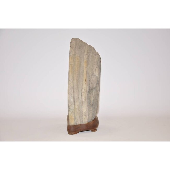 Suiseki, Toraisi, Japon