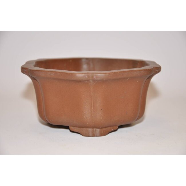 Pot de Lotus Shibakatsu