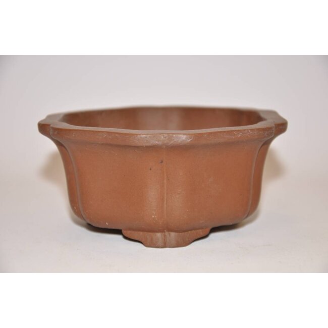 Pot de Lotus Shibakatsu