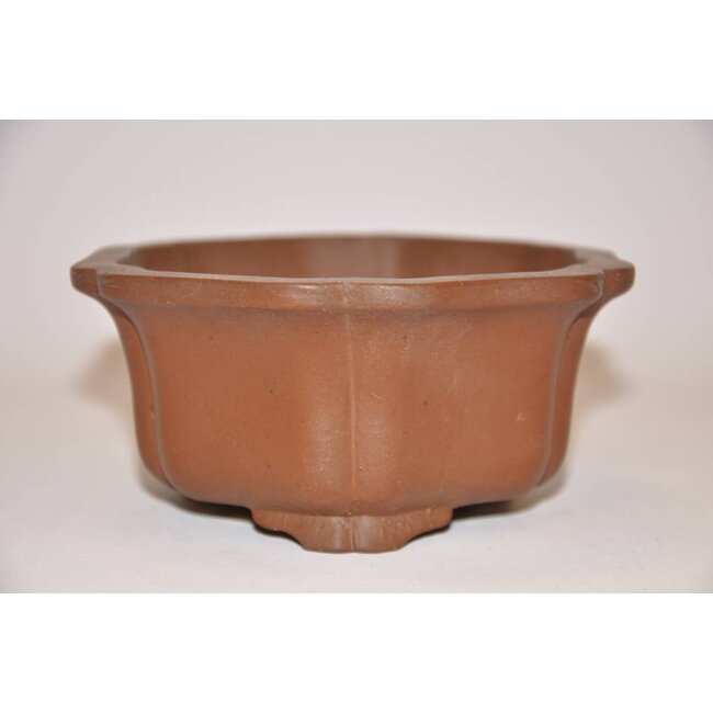 Vaso Lotus Shibakatsu