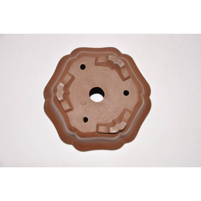 Lotus Shibakatsu-pot