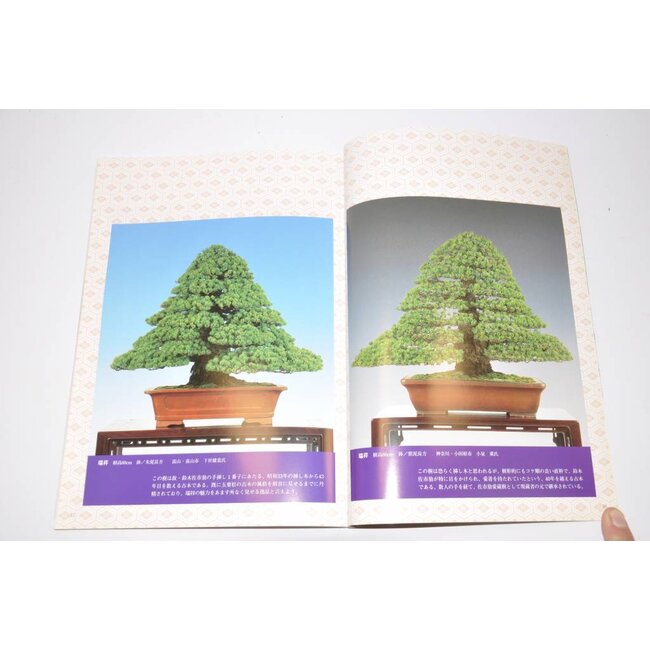 Manual de pino blanco japonés - Goyomatsu Zuisho