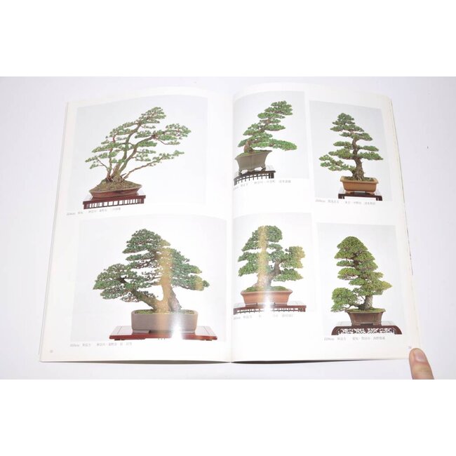 Manual de pino blanco japonés - Goyomatsu Zuisho