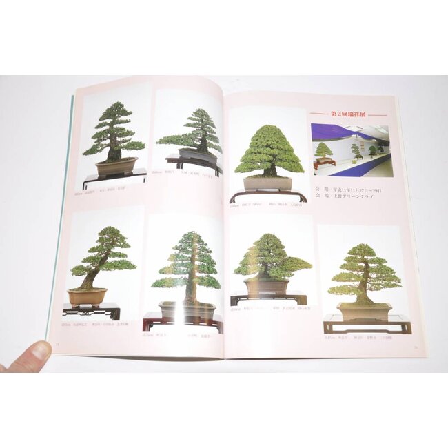 Manual de pino blanco japonés - Goyomatsu Zuisho
