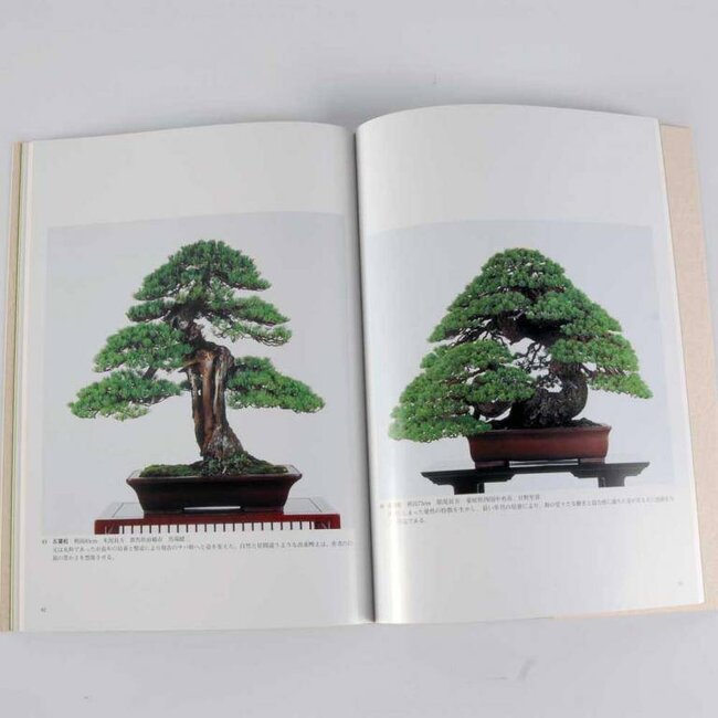 Sakafu-Ten # 37 - 2012