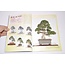 Juniperus chinensis Handbuch