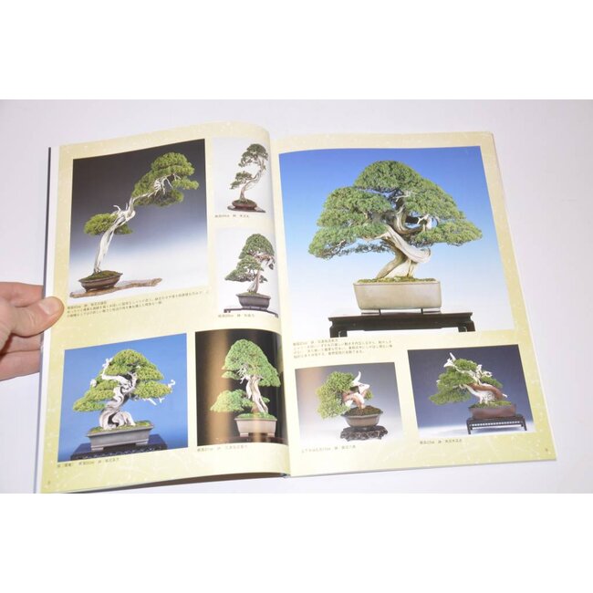 Juniperus chinensis Handboek