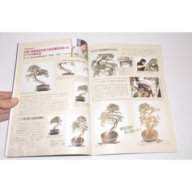 Juniperus chinensis Handbook