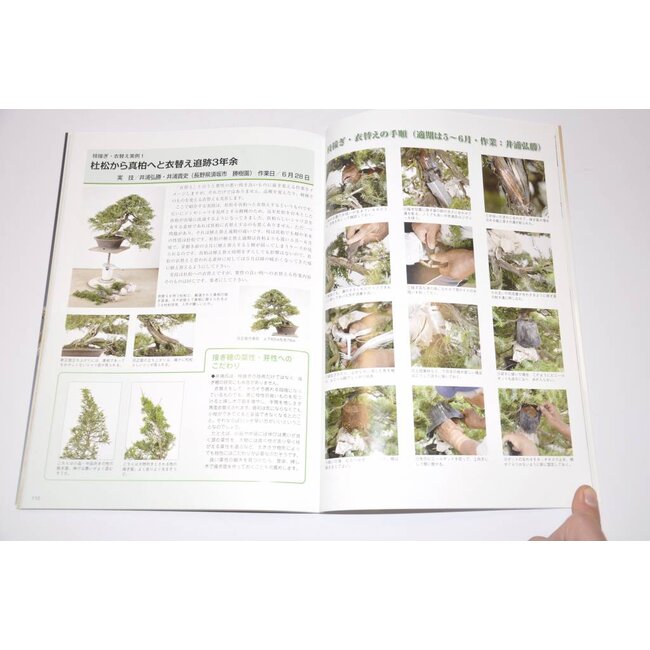 Juniperus chinensis Handbuch
