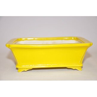 Shosen Rectangular pot