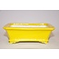 Rectangular pot