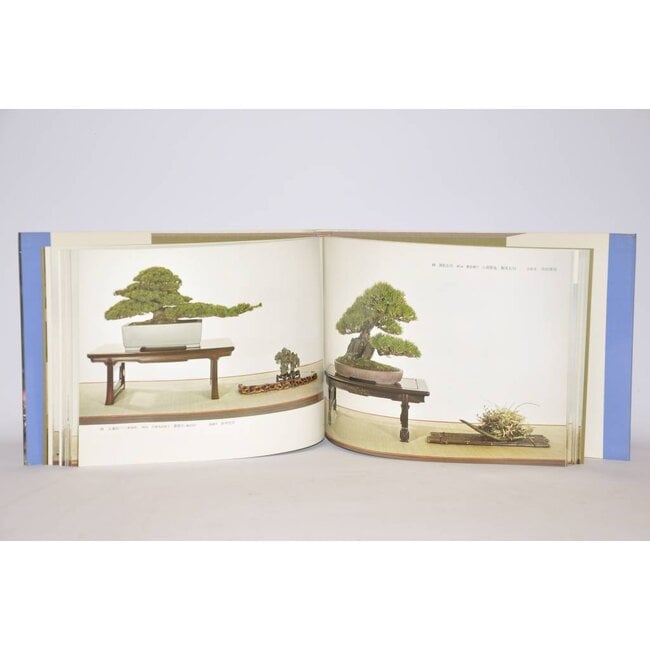 Catalogo della mostra Kokufu Bonsai n° 48 - 1974