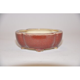  Eimei ( Yozan kiln) Olla de mokko