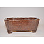 Rechthoekige Shuhou bonsai pot 14cm