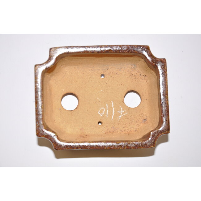 Vaso bonsai rettangolare Shuhou 14cm